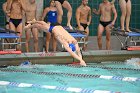 Swim vs Bentley  Wheaton College Swimming & Diving vs Bentley University. - Photo by Keith Nordstrom : Wheaton, Swimming & Diving